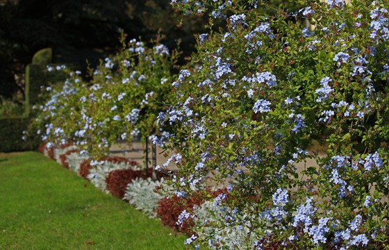 Lead Root G023d2e757 1920